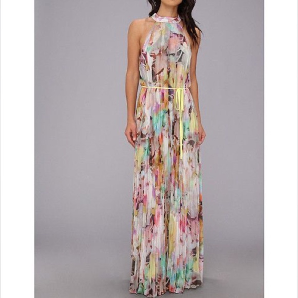 Ted Baker Electric Daydream Print Pleated Multicolor Maxi Dress